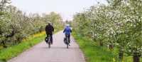 Enjoy easy cycling in the Netherlands