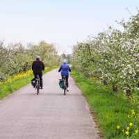 Enjoy easy cycling in the Netherlands