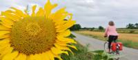 Cycling past sunflowers in Hungary | Lilly Donkers