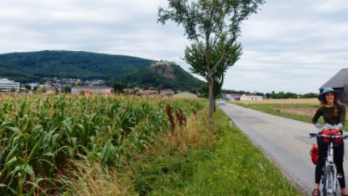 Cycling near the Slovak border, following the Danube River