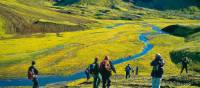 Trekking in the wonderful wilderness of Iceland | Josh Wilson