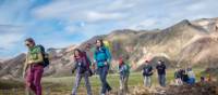 Hike the Laugavegur Trail in the company of a small group and experienced guide