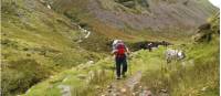 Walking above Lake Anscaul on the Dingle Peninsula |  <i>richardtulloch.wordpress.com</i>