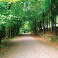 Trekking down the gorgeous Wicklow Way | Nick Kostos