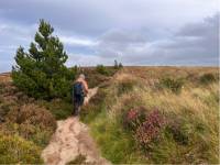 The last bit of ascent on the Dublin Mountain |  <i>Mélodie Théberge</i>