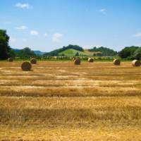 Pass by rural landscapes on your Via Francigena walk