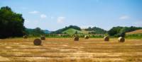 Pass by rural landscapes on your Via Francigena walk