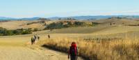 Pilgrims making their way towards Rome on the Via Francigena