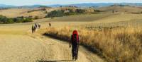 Pilgrims making their way towards Rome on the Via Francigena