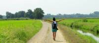 Hiking along the Via Francigena on the way to Pavia