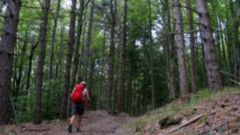 Hiking the Via Francigena between the Cisa Pass and Pontremoli