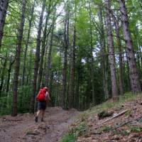 Hiking the Via Francigena between the Cisa Pass and Pontremoli