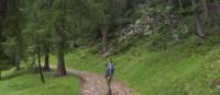 Following the forest trails of the Italian Alps.