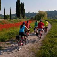 Cycling from Bolzano to Verona through the Po Delta Park