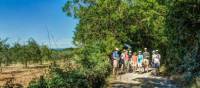 A group walks along the Via Francigena | Steven dosRemedios