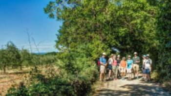 A group walks along the Via Francigena | Steven dosRemedios