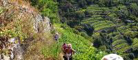 Hikers ascending to Volastra in the Cinque Terre | Phil Wyndham