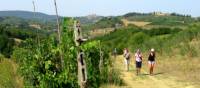 On the Via Francigena, San Gimignano in the distance