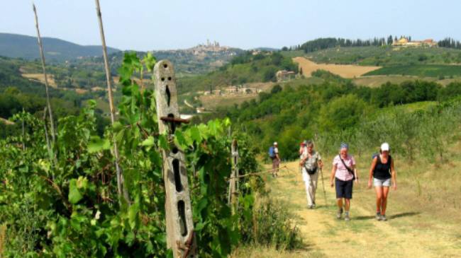 On the Via Francigena, San Gimignano in the distance