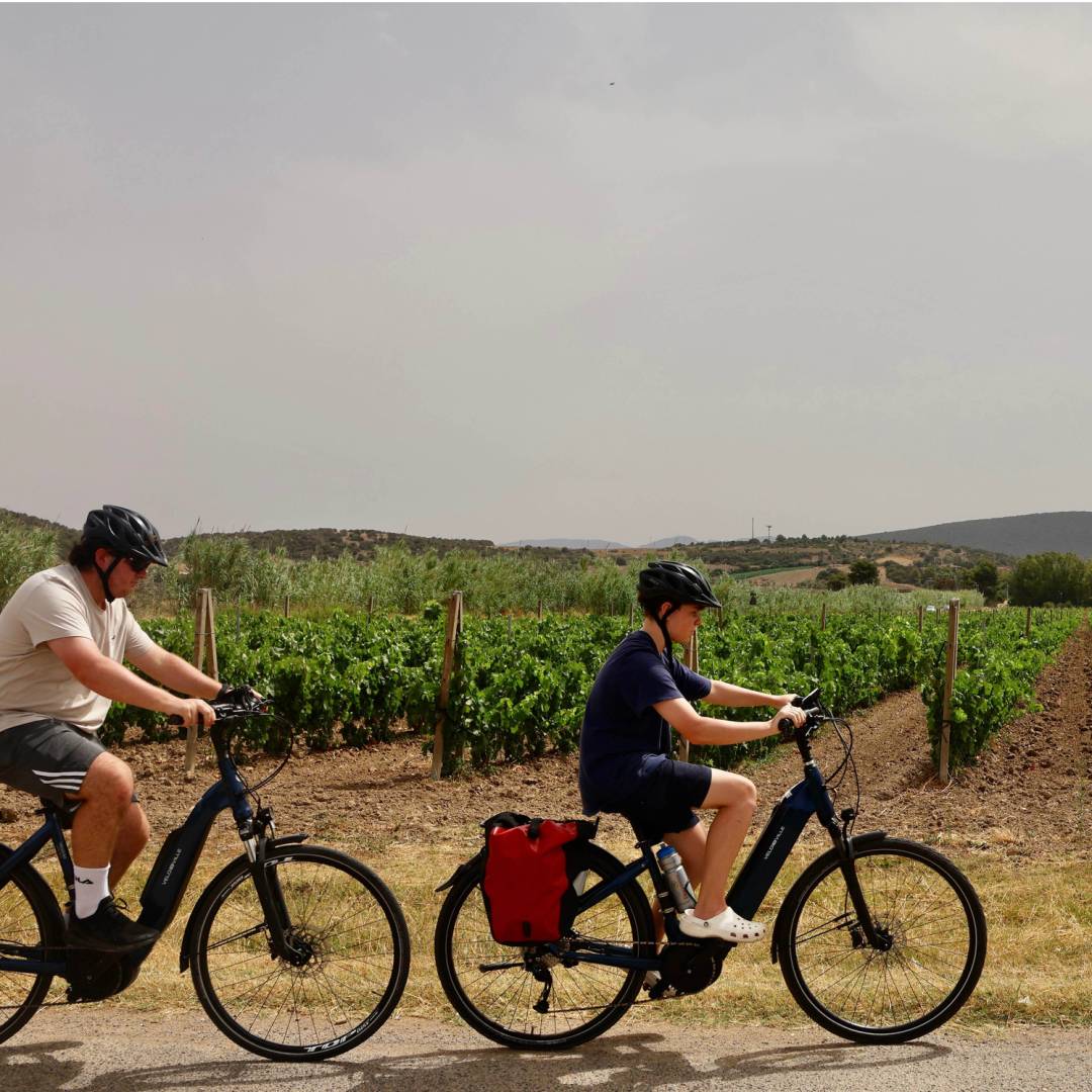 Cycling by Sardinia's pretty vineyards | Kirstie Bedford