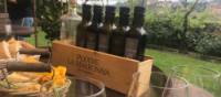 Sampling olive oils and wines in the picturesque vineyards of Italy | Allie Peden