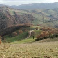 The rolling landscapes of Umbria are a feature of the St Francis Way camino route