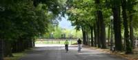 Cyclists enjoying a quiet road on the Via Francigena