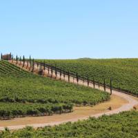 Classic Tuscan landscapes on the Via Francigena near Florence