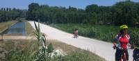 Cycling on Lido in Venice | Dana Garofani