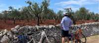 Cycling by Puglia's olive trees | Tali Emdin