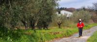 Walking along an original section of the Via Cassia near Montefiasconi | Brad Atwal