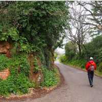 Walking along the Via Francigena near Viterbo | Brad Atwal