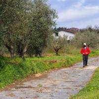 Walking along an original section of the Via Cassia near Montefiasconi | Brad Atwal