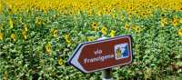 The Via Francigena is well marked for self guided travellers
