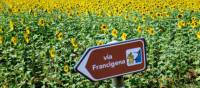 The Via Francigena is well marked for self guided travellers