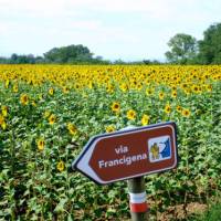 The Via Francigena is well marked for self guided travellers
