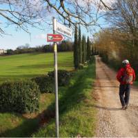 Walking along the Francigena Way near Monteriggioni | Brad Atwal