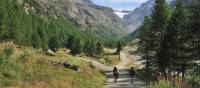 Explore the Gran Paradiso National Park on foot | Gino Cianci