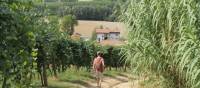 Walking towards a village in Piedmont | Jaclyn Lofts