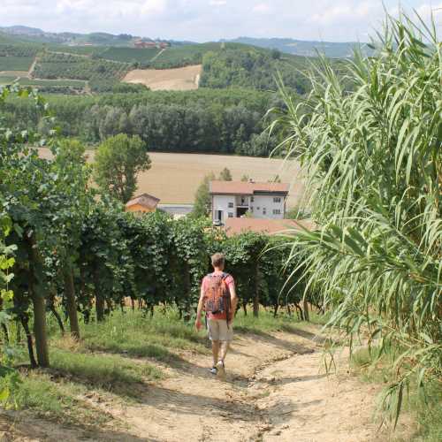 Walking towards a village in Piedmont