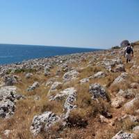 Walking along the rugged coastline of Puglia