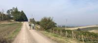 Road to Montalcino | Kate Baker
