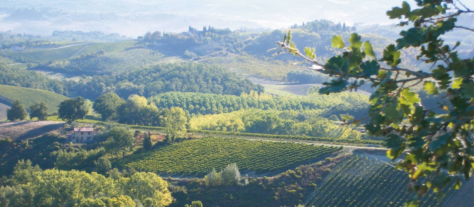 The rolling hills of Tuscany, Italy | Chris Viney