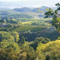 The rolling hills of Tuscany, Italy | Chris Viney