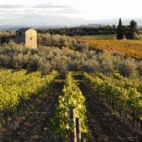 Beautiful Tuscan countryside