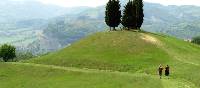 Hiking through Tuscany on the Via Francigena