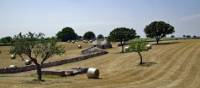 Walk in the enchanting landscape of the Itria Valley | Stephanie Albert