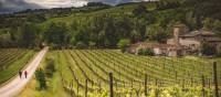 Walkers take in the typical Tuscan landscape on the Via Francigena | Tim Charody