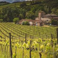 Walkers take in the typical Tuscan landscape on the Via Francigena | Tim Charody