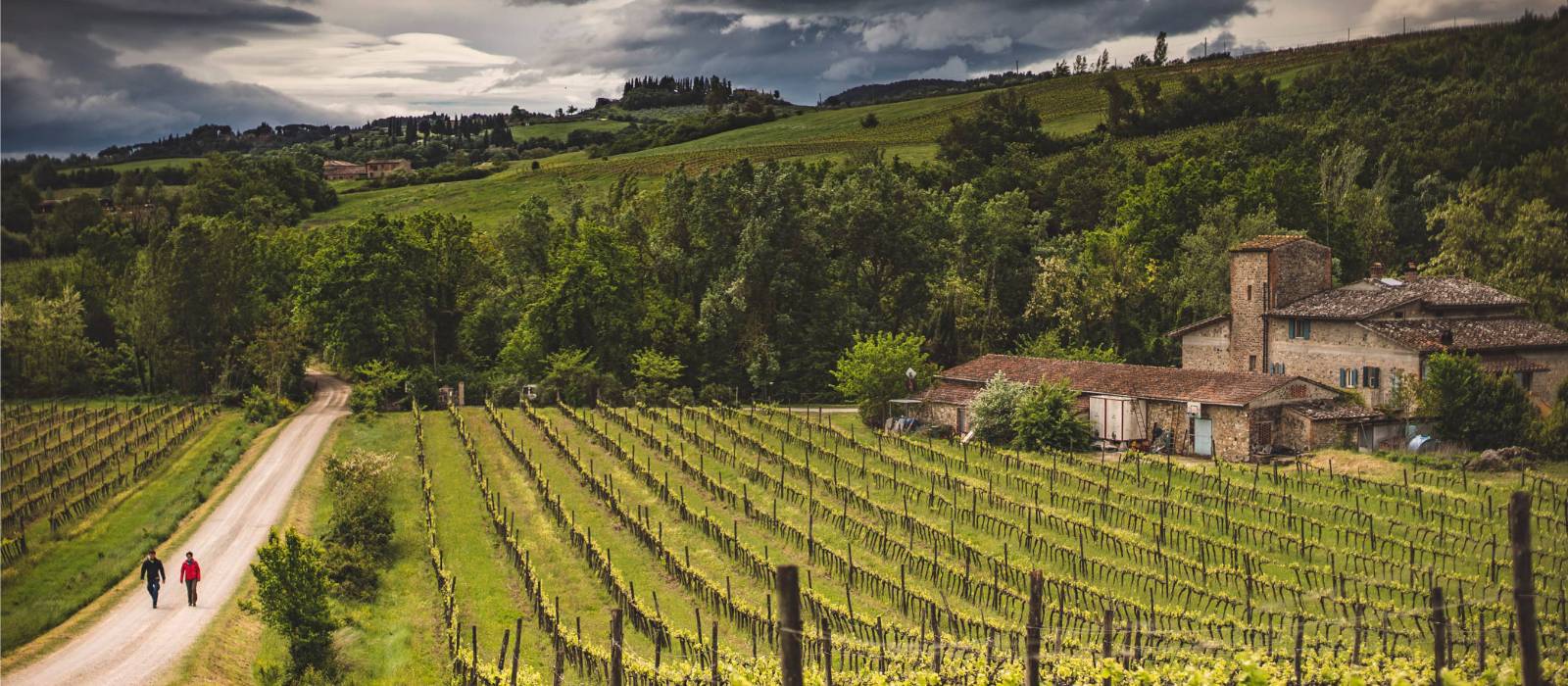 Walkers take in the typical Tuscan landscape on the Via Francigena | Tim Charody